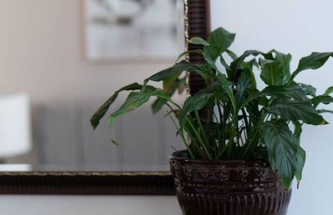 Luxe Beach Pad, Wow Sea Views at Coco By The Bay - Foto 50