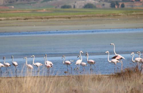 Casas rurales LA LAGUNA y LA BUHARDILLA DE LA LAGUNA - Foto 57