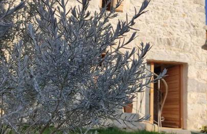 Heritage House Vrime - stone house with heated pool - Photo 69