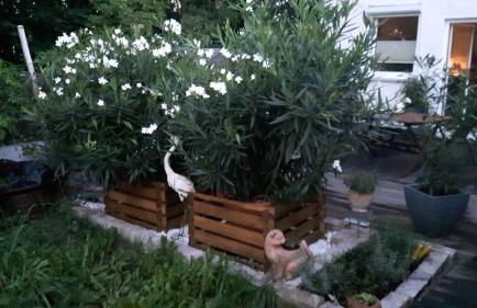 Apartments Am Spitalthor - Foto 23