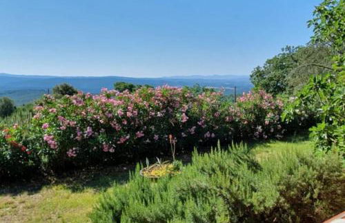 Podere Casa La Gualda - Foto 16