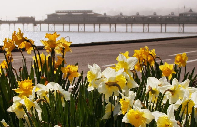 Broadshade Holiday Apartments - Foto 69