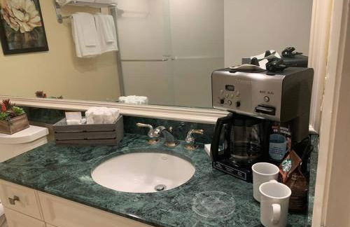 GolfView Executive Suite Near Tampa - Foto 11