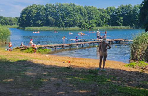 Holenderki na Zielonych Wzgórzach, Łowyń - Foto 51