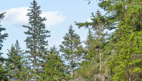 Brighton Condo #209 - Photo 3