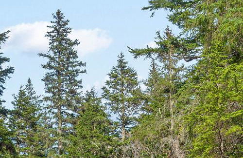 Skiview #103 - Foto 10