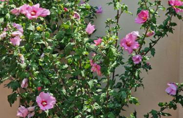 "Pier's House" - Attico a 3 chilometri dal Centro Città - Photo 15