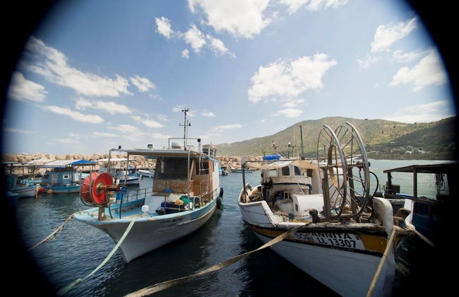 Sun Camero Apartments - Photo 44