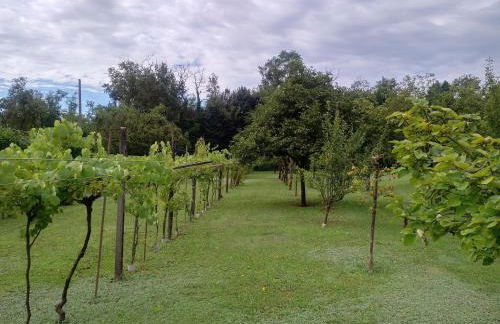 Milano Country Club - Villa with private pool and garden - Foto 53