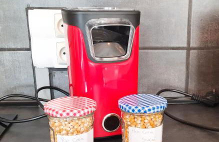 Bienvenue dans la Jungle - Foto 8