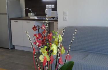 Villa Médicis Versailles Saint-Cyr-l'Ecole - Foto 24