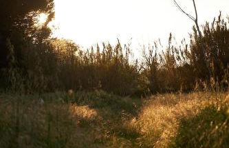 Quinta do Marmeleiro - Casa Marmeleiro - Foto 40