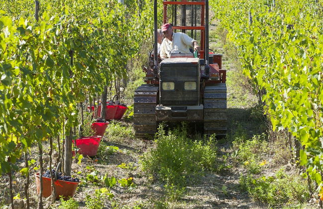 Farm House La Presura - Photo 67