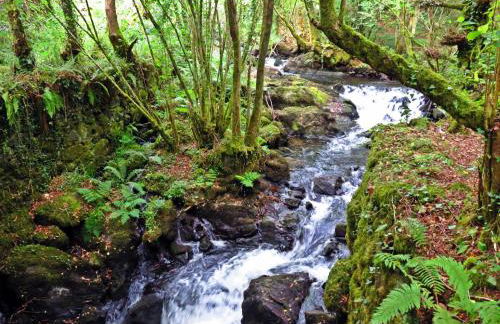 Casa Rural A Pasada - Foto 27