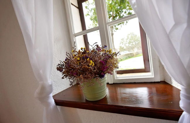 Villa Krasa Zadarvillas - Foto 15