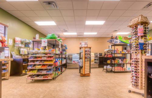 8960 Cat Palm Road - Foto 77