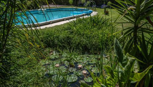 Quinta dos Pinheiros - Foto 5, Garden view