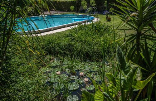 Quinta dos Pinheiros - Foto 5