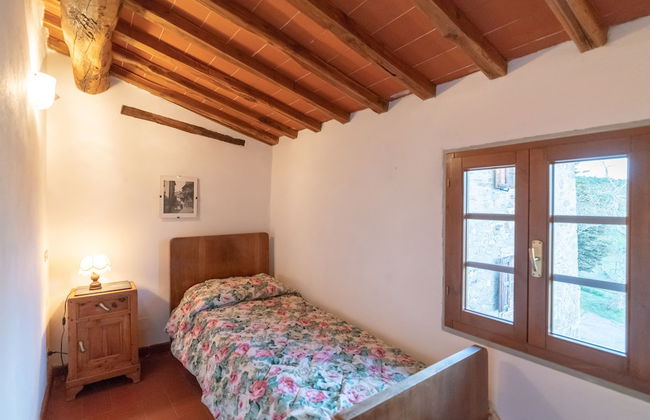 Fattoria di Cintoia - Photo 12