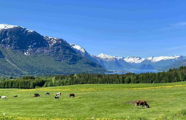 Heinåli Hytta - Foto 32