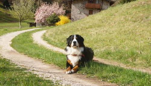Casa FontaGusta - Nature Hideaway & Digital Detox - Lake Idro & Piccoli Dolomiti - Foto 4