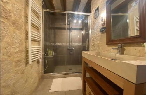 La maison des Hautes Vallees- jardin-piscine Beauval - Foto 22