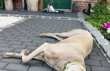 Tawerna Pod Kotwicą pokoje i domy wakacyjne - Foto 32
