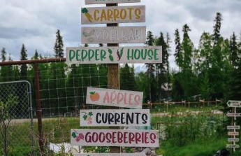 Peaceful Acres Cabin 2 - Soldotna, AK - Photo 39