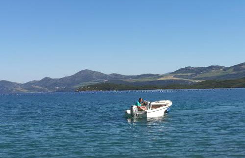 Apartmani Vlahušić - Photo 3