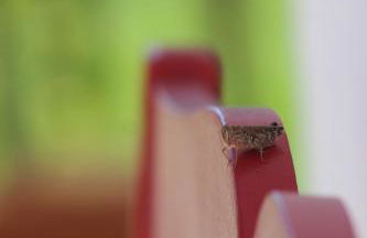 Casa do Sossego - Foto 44