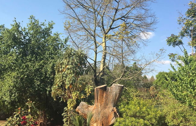 2 Bedroom Executive & Holiday Suburban Home - Foto 34