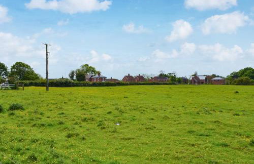 Ivy - Uk47373 - Foto 10