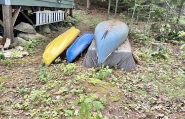 PLACYD PINES LIMIT 8 cottage - Foto 25