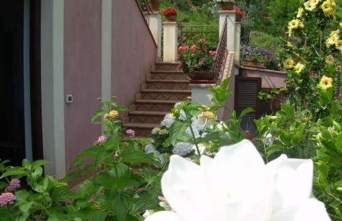 Agriturismo Villa Luca - Foto 33