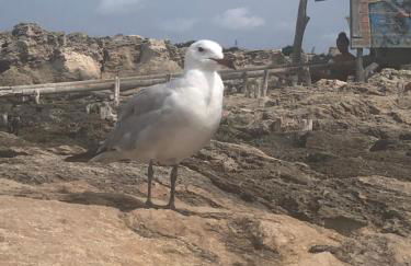 Edificio RexII - Foto 25