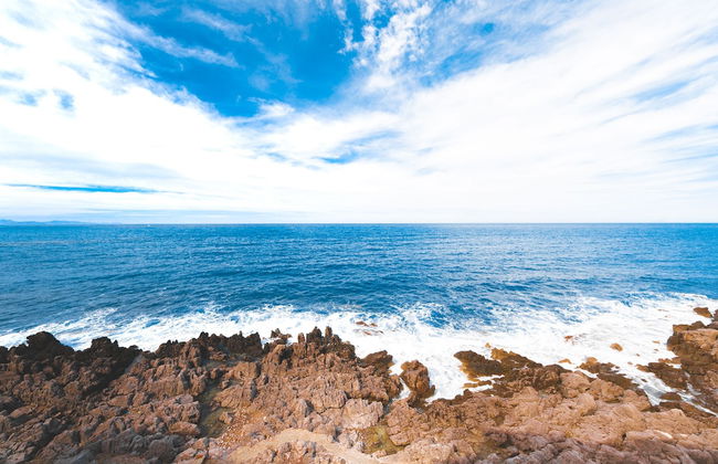 Taliammari - Foto 76