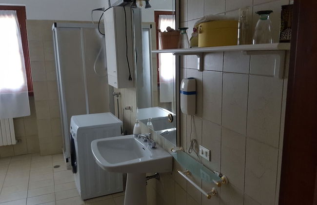 Allevamento B&B - Foto 20