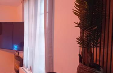 T2 cosy plénitude h24 wifi parking privé Netflix - Foto 7