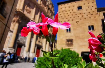 Rua Suites Boutique - Foto 25