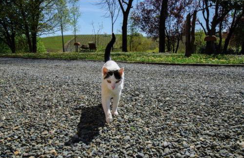 Agriturismo Relais "il Bricco" - Foto 115