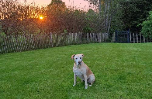 Ostseeferienhaus 33 über NN - Foto 35