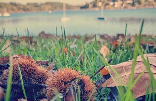 Studio au bord du lac d'Eguzon - Foto 18