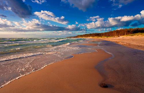 Pier 605 - 4 Sterne - 300m Strand Zentrum - POWER WLAN - 2 Parkplätze - early CheckIn - #Bestpreisgarantie# - Foto 38