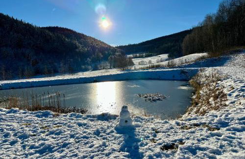 Domki w górach '' Zielone Wzgórza '' okolice Karpacza - Foto 33