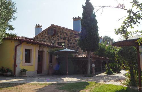 Medusa Gorgon - Photo 4