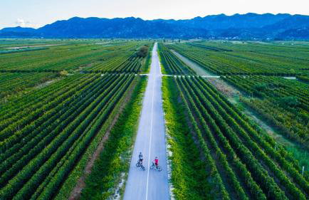 Kuca Tose by Villas Guide - Foto 30