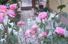 Apartment Matulji - Foto 14