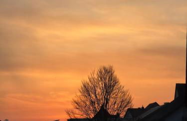 Bimbacher Betten - Photo 4