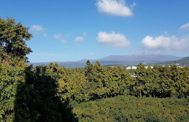 Gladsheim Hotel - Foto 66