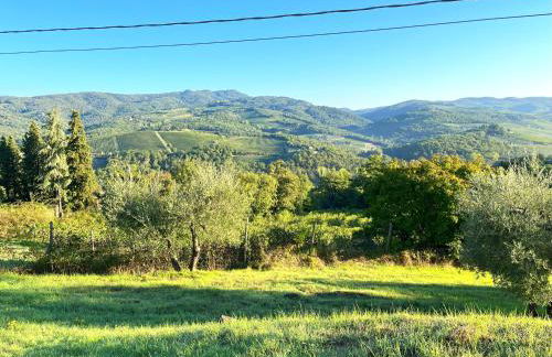 Chianti dreaming in Radda - Foto 63